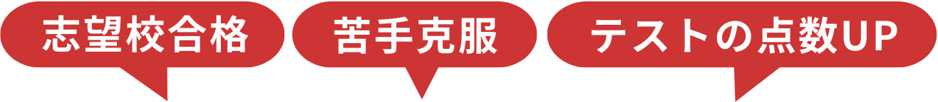 志望校合格・苦手克服・テストの点数UP